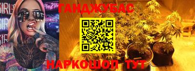 сатива Апшеронск